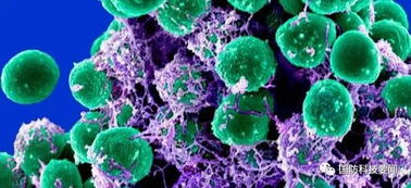 合成生物技術 美陸軍醫藥領域研發的戰略新焦點